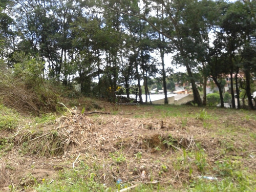 Imagem 5 de 14 de Terreno - Candiago - Ref: 3867 - V-gi3873
