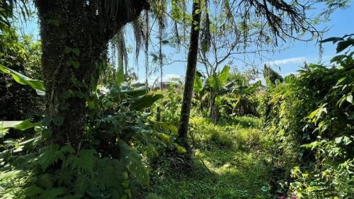 Imagem 6 de 14 de Casa De 565 Metros Lado Praia Perto De Comércios Itanhaém Sp