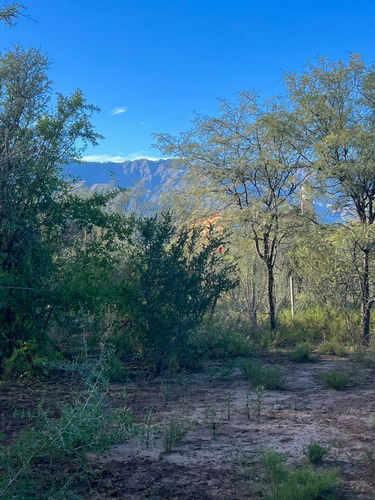Lote De 1535 M2 Con Escritura En Quebrada De Los Pozos / Villa De Las Rosas - Traslasierra