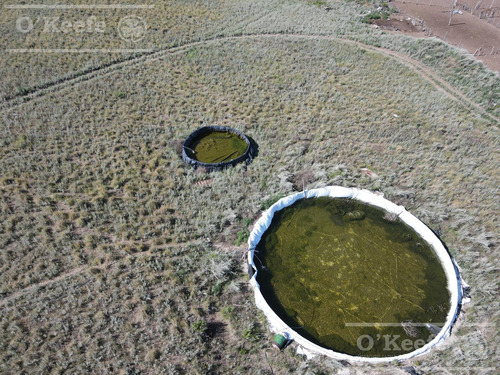 Campo En Venta De 27950 Has En Gral Alvear Mendoza. Armada Para Cria/recria