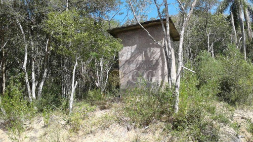 Imagem 20 de 24 de Casa Em Fase De Acabamento - Parque Florestal - Ca0892