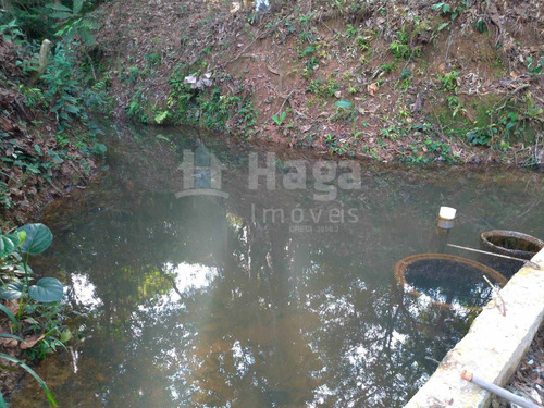 Imagem 3 de 15 de Chácara À Venda Em Canelinha/sc - 1419c