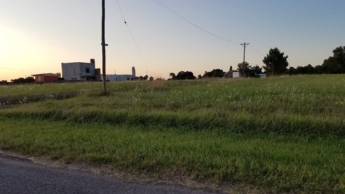 Imagen 6 de 9 de Dueño Vende Terreno En El Marquesado, Cerca De La Playa, Mar Del Plata, U$s 14.000, Con Escritura Titular!! Urgente
