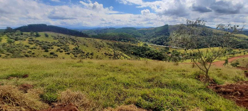 Imagem 14 de 14 de Q07- Região De Terra Fértil