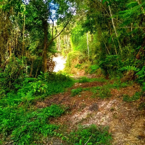 Imagem 11 de 24 de Terreno 96.000m² Com 03 Platôs Prontos E Riquíssimo Em Água Em Juquitiba-sp