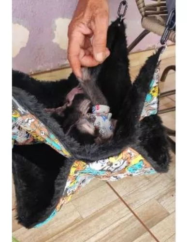 Rede Pet Grande Macaco Prego Sagui Gato Ferret Furao
