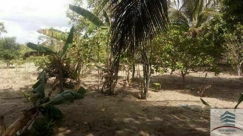 Imagem 2 de 7 de Granja A Venda Em Macaíba