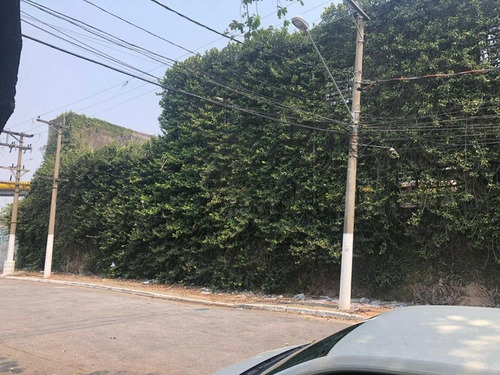 Imagem 5 de 7 de Terreno À Venda, 3300 M² Por R$ 9.200.000 - Ipiranga - São Paulo/sp - Te0506