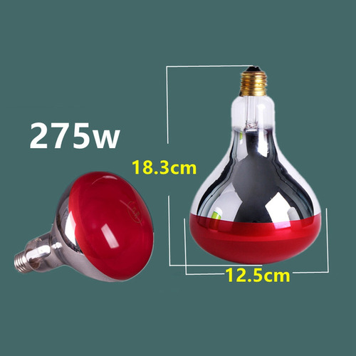 Lámpara De Terapia Terapéutica Con Luz Infrarroja De Calor R