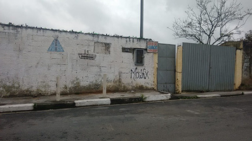 Imagem 3 de 8 de Terreno - Te00029 - 34463546