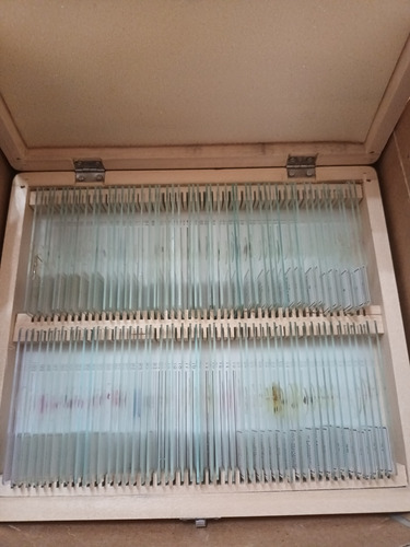 100 Preparados Histológicos (Usado)