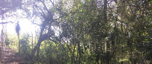 Imagem 2 de 13 de Terreno 1.300m² - Rio De Una - Ibiúna-sp - Tr211127v