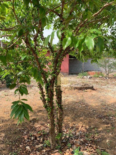 Imagem 19 de 30 de Chácara Com 1 Dormitório À Venda, 2037 M² Por R$ 640.000,00 - Parque Lago Azul - Pindamonhangaba/sp - Ch0009