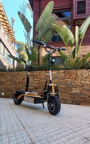 Imagen 2 de 8 de Monopatin Electrico Velocifero Asiento 1600w Gel Sunraleloir
