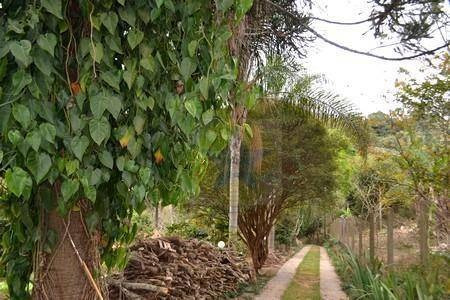 Chácara Com 6 Dormitórios À Venda, 5000 M² Por R$ 1.700.000,00 - Condomínio Itaembu - Itatiba/sp - Ch0106