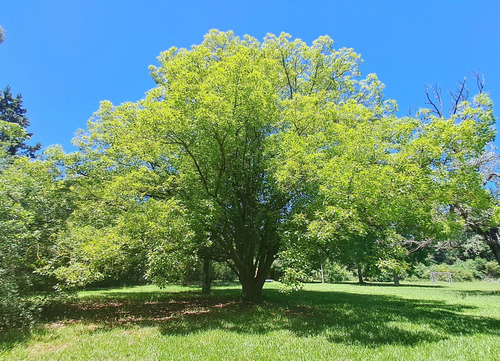 Terreno En Venta, Parque Natura, Los Cardales
