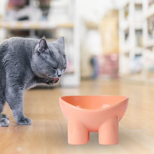 Cuenco De Comida Para Gatos, Cuenco Para Gatos, Cuencos De