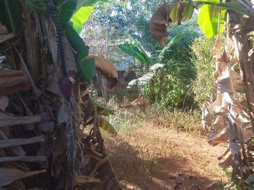 Lote Aparecida De Goiânia