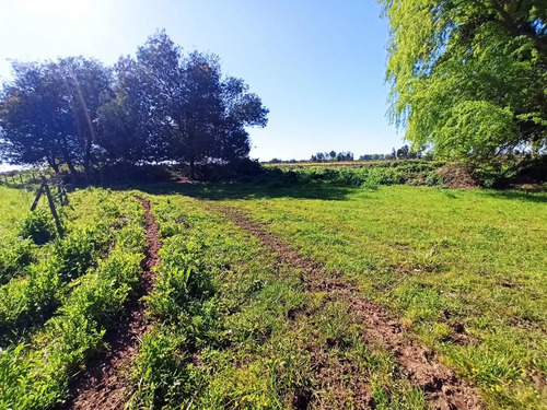 Terreno Agrícola De 6,8 Ha En Venta En San Clemente