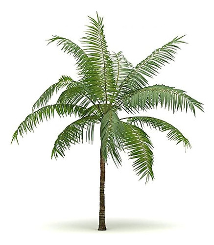 Single Palm Tree Wall Decal Peel And Stick Graphic Wm10...