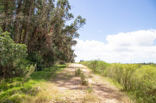 Venta Campo 20 Has