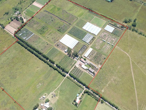 Imagen 4 de 4 de Venta / Permuta - Campo - Rosario
