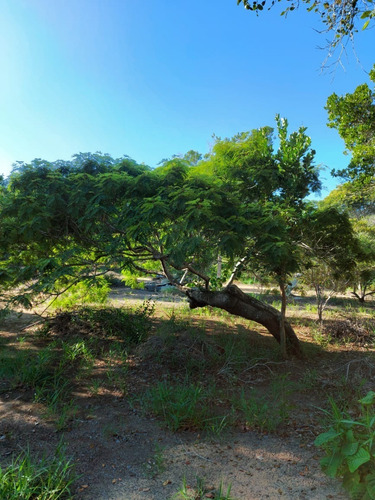 Imagem 5 de 23 de Terreno À Venda Em Arraial D'ajuda - Porto Seguro, Terreno Plano Com Área Limpa Pronta Para Construção, Ponto De Água, Energia, Área De Lazer E Playground