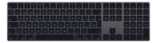 Teclado Magic Keyboard Apple A1843 Mrmh2e/a Numerico Español