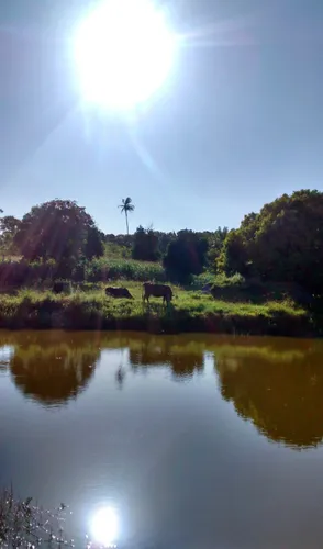 Vendo Sítio Com 52,5 Mil Mts2 Em Igarassu, 100% Plano.