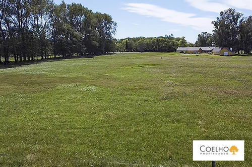 Imagen 24 de 30 de Terreno - Carmen De Areco