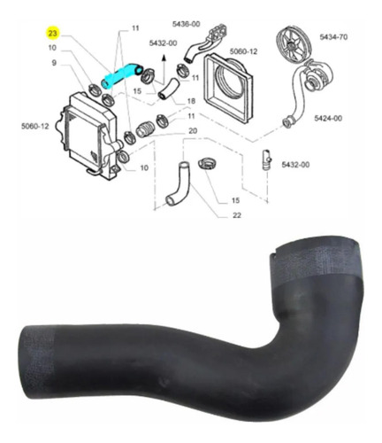 Manguera Superior De Radiador Cursor Iveco 5801353721