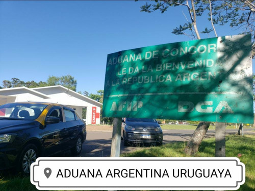 Traslado A La Costa Atlántica Con Mascotas Ezeiza Taxi Remis