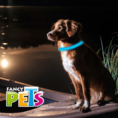 Collar Led Collar Con Bandas Reflejantes Fancy Pets Tamaño Del Collar Grande Color