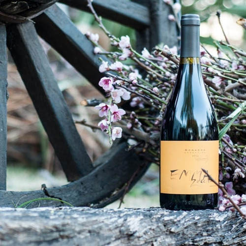 Imagen 3 de 10 de Vino Zuccardi Emma Bonarda 750ml. - Valle De Uco