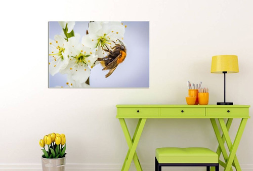 Cuadro 50x75cm Decorativo Insecto Abeja Flores Miel M4