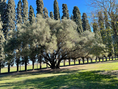 Quinta En Esperanza