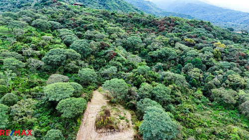 Terreno 1 Ha Venta Finca Castellanos San Lorenzo.