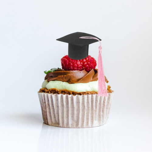 10 Sombreros De Graduación Con Borlas Rosas