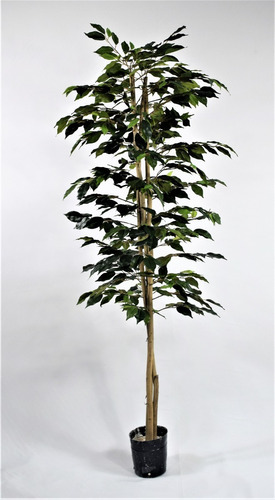 Arbol Ficus Plantas Artificiales . Regalosdeco