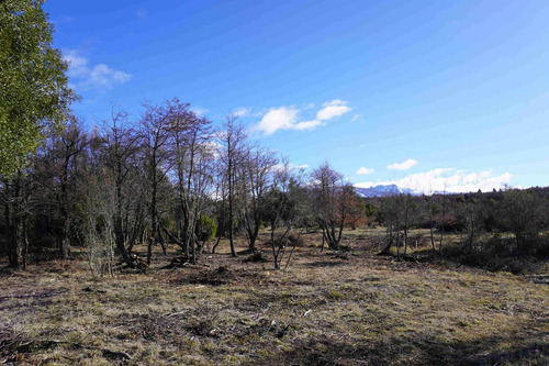 Imagen 9 de 14 de Lote De 5542m2 Con Costa De Arroyo En M. Ahogado