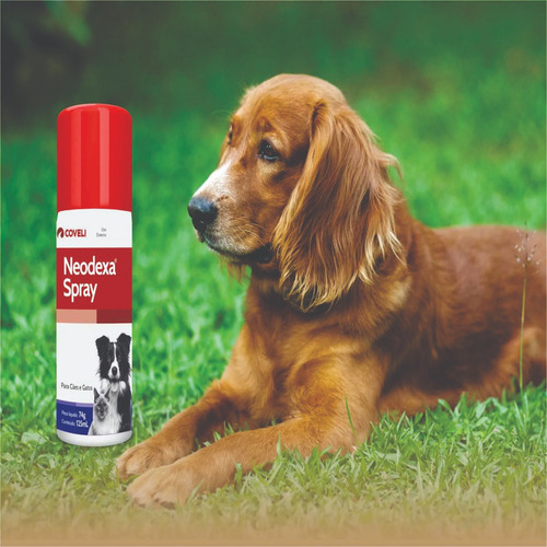 Alergia Picada Pulga Caes Neodexa Spray 125ml