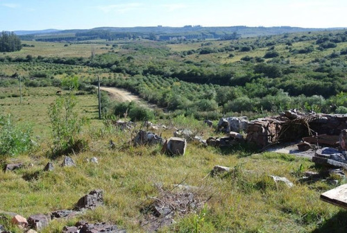 Quinta En Venta De 4 Dormitorios En Sierra De Caracoles
