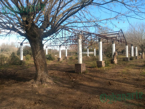 Imagen 20 de 21 de Venta De Campo De 23 Hectáreas En General Rodriguez.