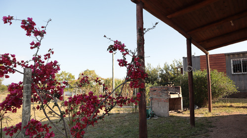 Alquilo Hermosa Cabaña Madera, San Luis, 300 M. De La Playa