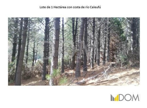 Imagen 11 de 13 de Impresionante Lote De 1ha Con Costa De Río