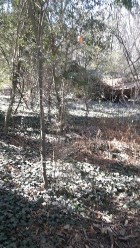 Lote En Av. San Huberto, Nono