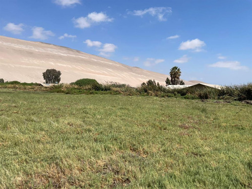 Terreno Con Cabañas En Venta En Arica