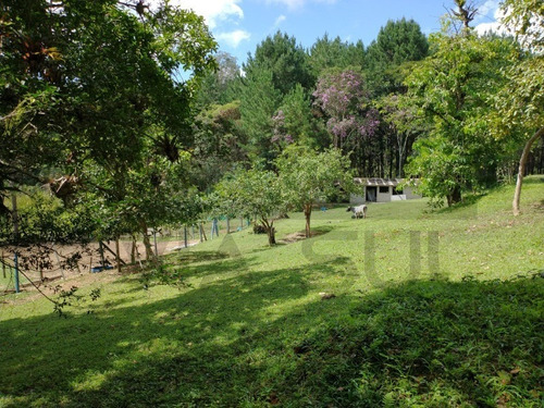 Imagem 21 de 30 de Sítio De 3,5 Alqueires, Excelente Localização! Com Área Aberta Para Criação Recreativa E Mata Nativa Para Trilha E Caminhada.. - 237 - 69821549