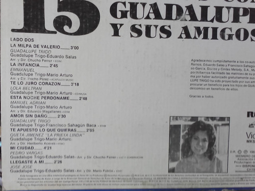 $ Lp Guadalupe Trigo- 15 Éxitos- José José- Emmanuel- Viola (Usado)