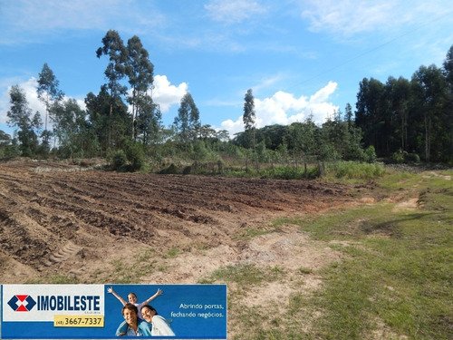 Imagem 1 de 12 de Área Para Venda - 10330.1860